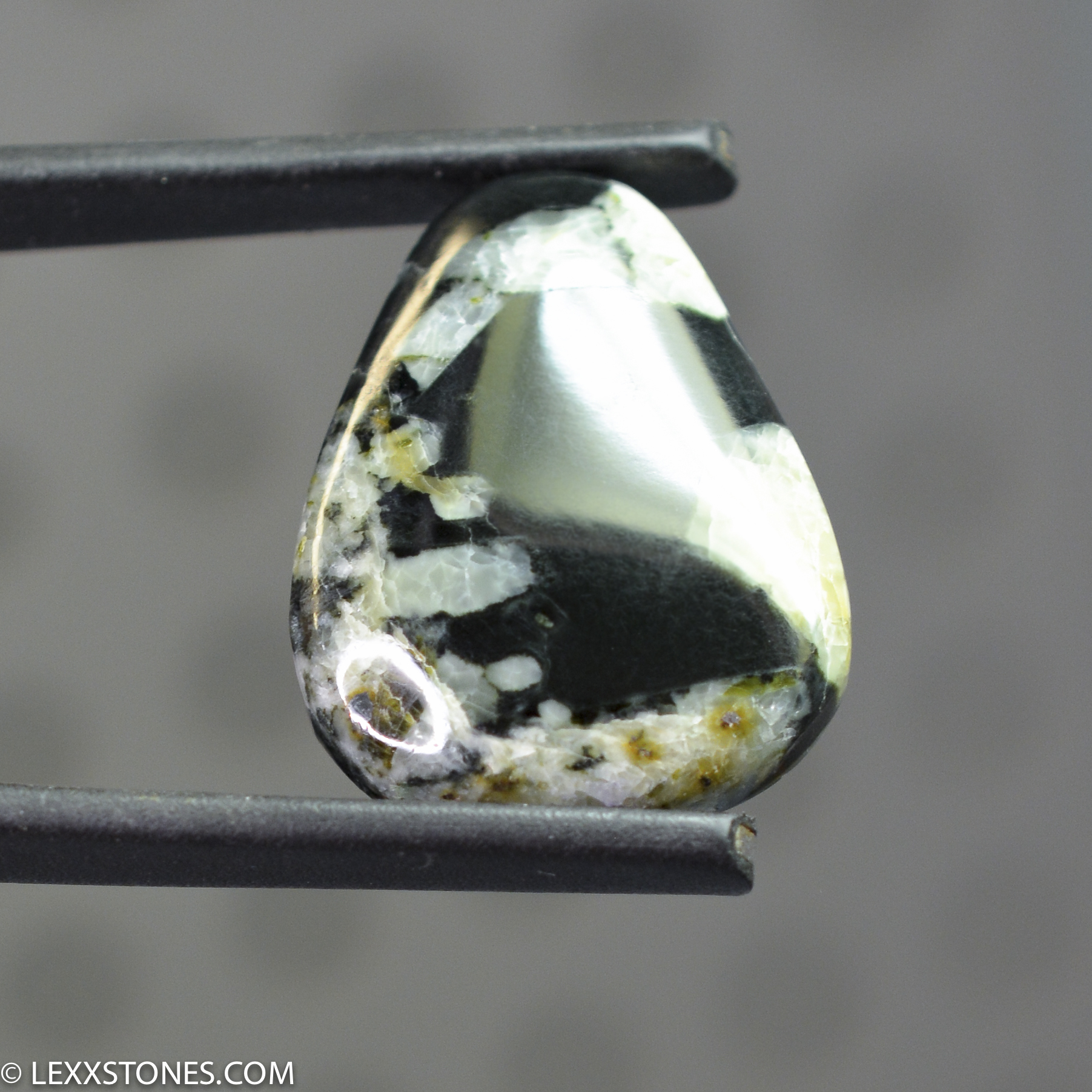 Edward's Black Wyoming Nephrite Jade Lexx Stones | Lexx Stones